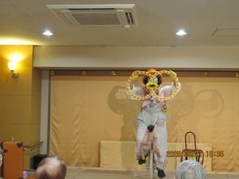 ひまわり様2889