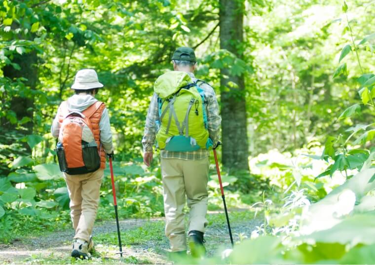 グランデ七瀬中町の居住者が森をハイキングしているイメージ